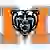 Mercer Bears (Frauen)