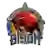 Nalaikh Bison