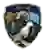 Чжанцзякоу