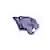Kentucky Wesleyan Panthers