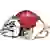 Gardner–Webb Runnin' Bulldogs
