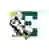 Eastern Michigan (Bayanlar)