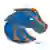 Boise State Broncos