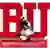 Boston University Terriers