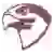 Fairmont State Fighting Falcons