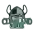 Cleveland State Vikings