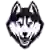 Connecticut Huskies (Bayanlar)