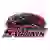 Southern Illinois Salukis (Women)