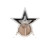 Гочіта