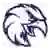 Saint Elizabeth Eagles