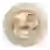 VLSU Vladimir