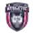 Shaanxi Shanan