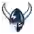 Western Washington Vikings