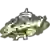 Сієтл Шторм (Жінки)