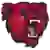 Bridgewater State Bears