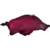Arkansas Razorbacks (Women)