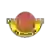 Taurage