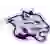 Young Harris Mountain Lions