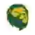 Multnomah Lions