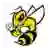 Randolph Macon Yellow Jackets