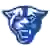 Georgia State Panthers (Bayanlar)