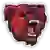 Bridgewater Bears