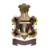 Индиан Нэви