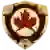 Vanpars