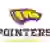 Wisconsin–Stevens Point Pointers