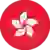 Гонконг (Жінки)