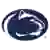 Penn State York Nittany Lions