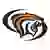 Pacific Tigers
