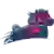 УСК Аикен Пэйсерс (жен)