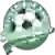 FC Zelenograd
