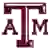 Texas A&M Aggies (Bayanlar)
