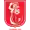 team logo