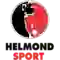 team logo