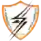 team logo