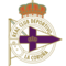 team logo