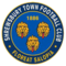 team logo