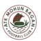 team logo