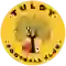 team logo