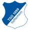 team logo