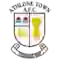 team logo