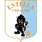 team logo