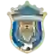 team logo