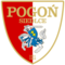 team logo