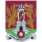 team logo