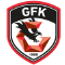 team logo