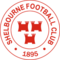 team logo